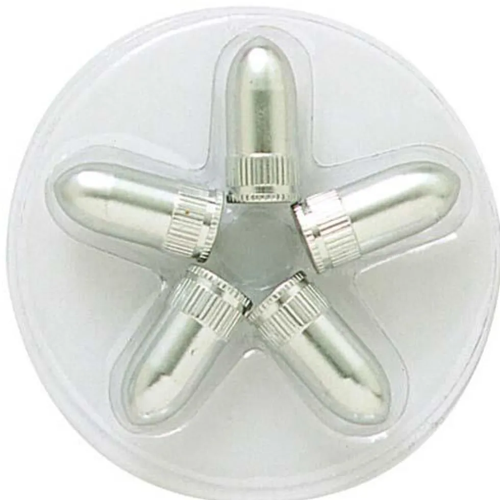 BOUCHONS DE VALVES ARGENT 5 PIÈCES