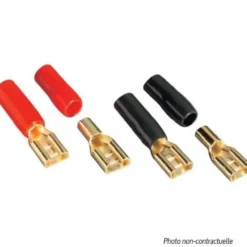 Cosses Haut-parleur D6515 "or" - RDI