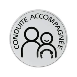 Disque conduite accompagnée électrostatique - CARLINEA