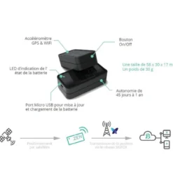 LE TRACKER BEEPINGS ZEN